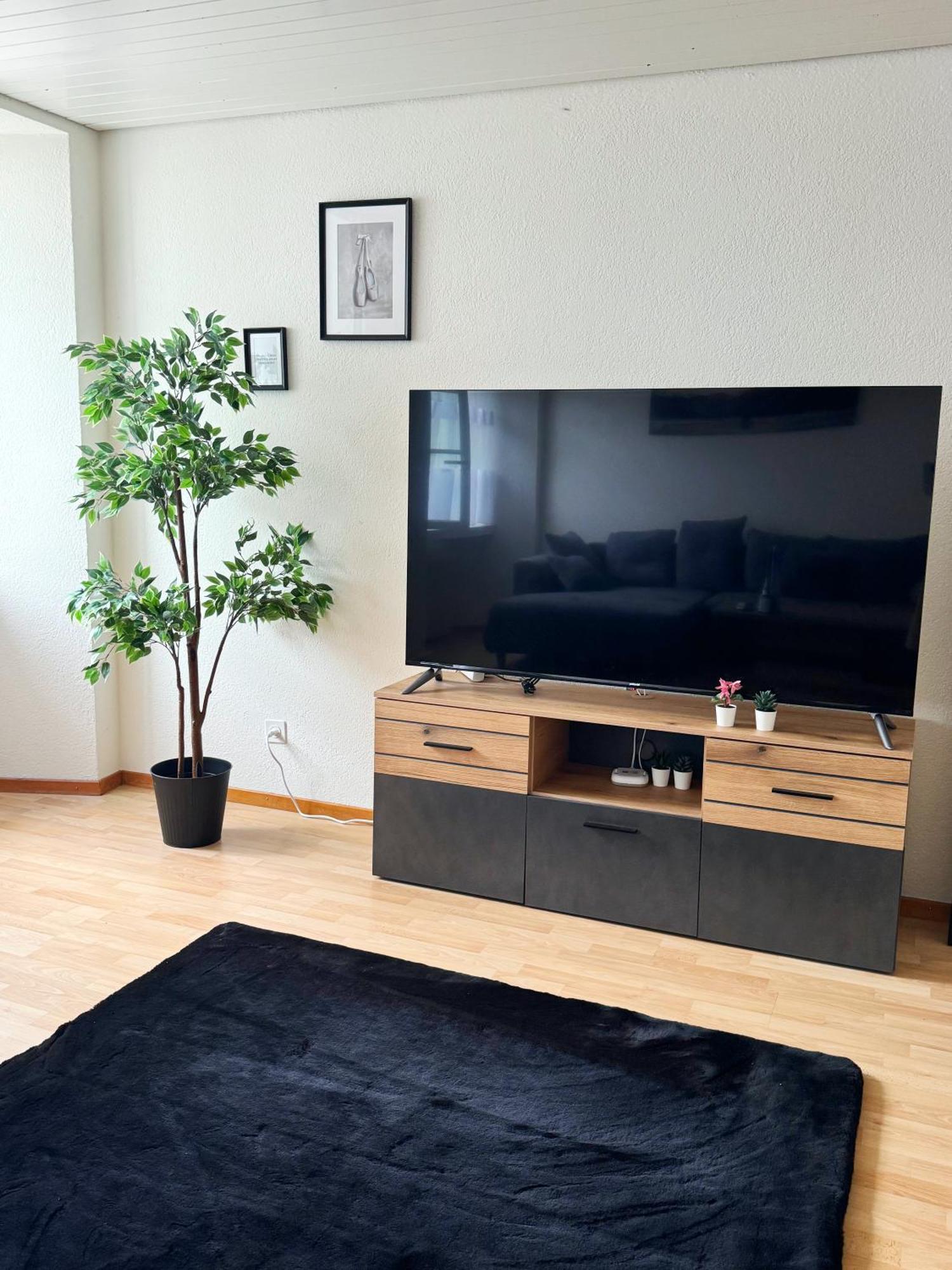 Tas24Ch Travel And Sleep 24 Apartment เซนต์กาลเลิน ภายนอก รูปภาพ